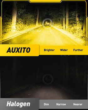 AUXITO 9006 installed in fog housing showing improved road visibility