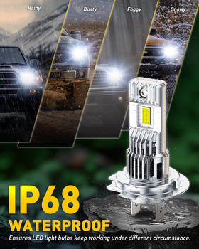 AUXITO H7 next to a halogen bulb to show 1:1 size match and easy replacement benefit
