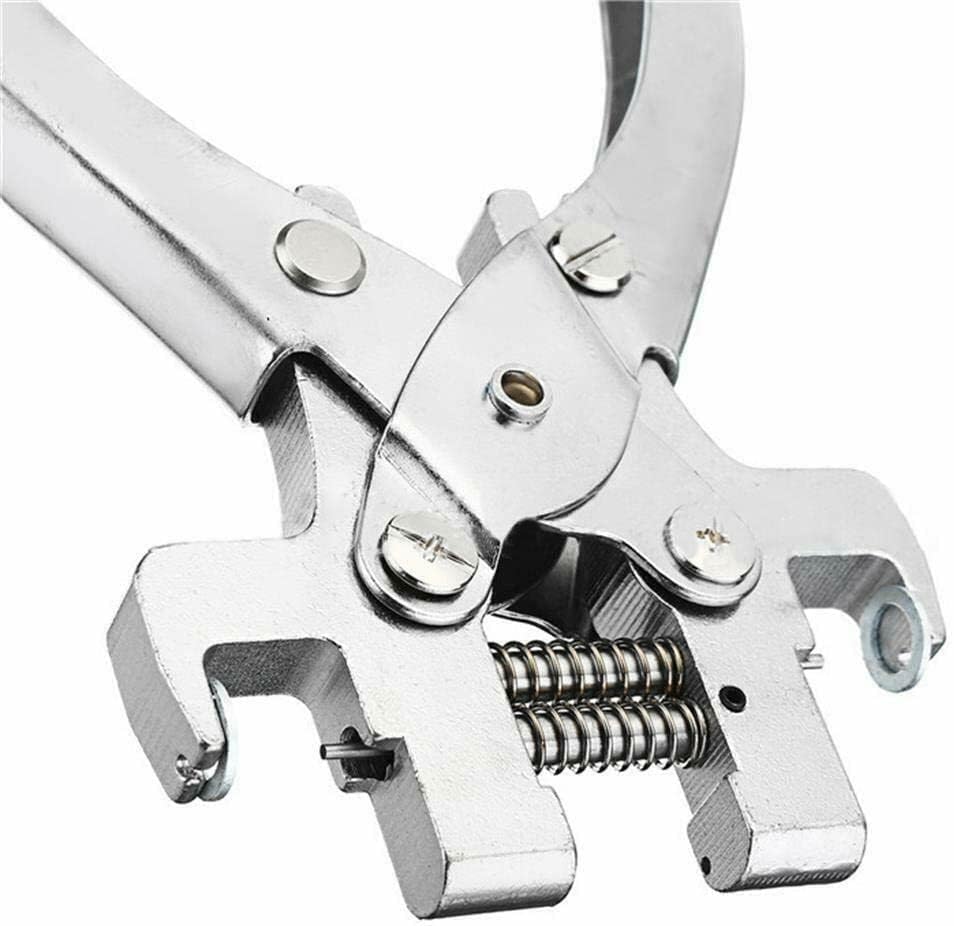AVETUL kit accessories with spare pins and magnet for convenient replacements