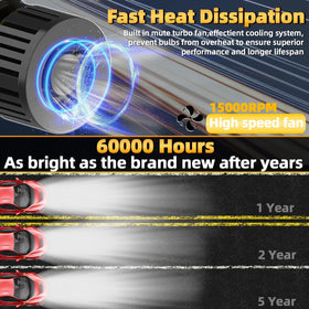 AXZPYON license and trunk bulbs grouped for full-vehicle lighting upgrade