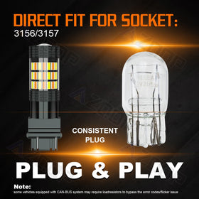 AZQOP bulb next to coin for scale, accurate sizing benefit