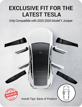 BASENOR installed in Model Y rear door demonstrating flush, factory-like appearance