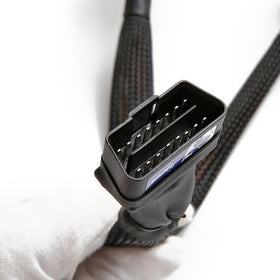 bbfly next to ruler showing 30 cm length for compact diagnostic reach