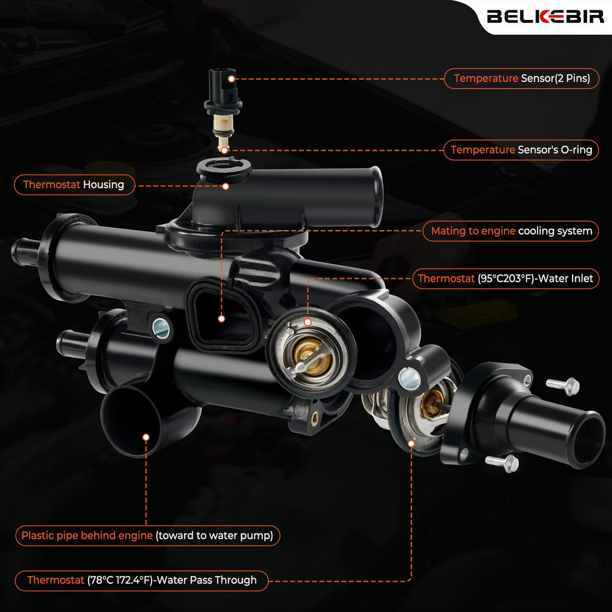 BELKEBIR gasket and hardware kit with parts arranged for straightforward installation benefit