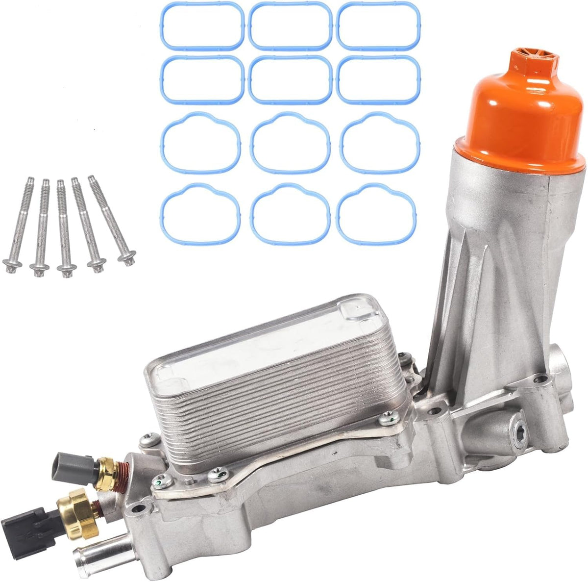 BEONEO complete kit layout with cooler, filter, sensors and gaskets for easier installation