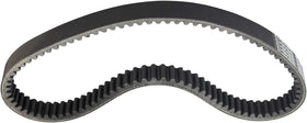 BeoneYuu belt placed next to ruler showing 33.4" length and thickness accuracy