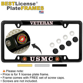 BestLicensePlateFrames close-up of clear dome artwork preserving colors and finish