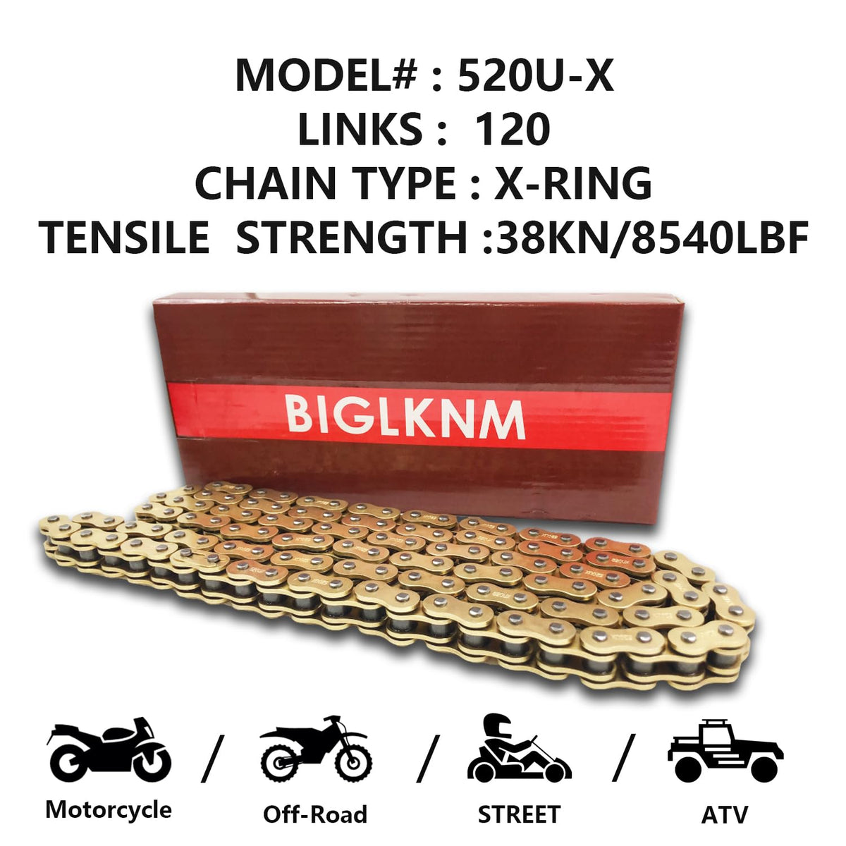 BIGLKNM close-up of gold chain links showing X-ring seal and reduced friction benefit