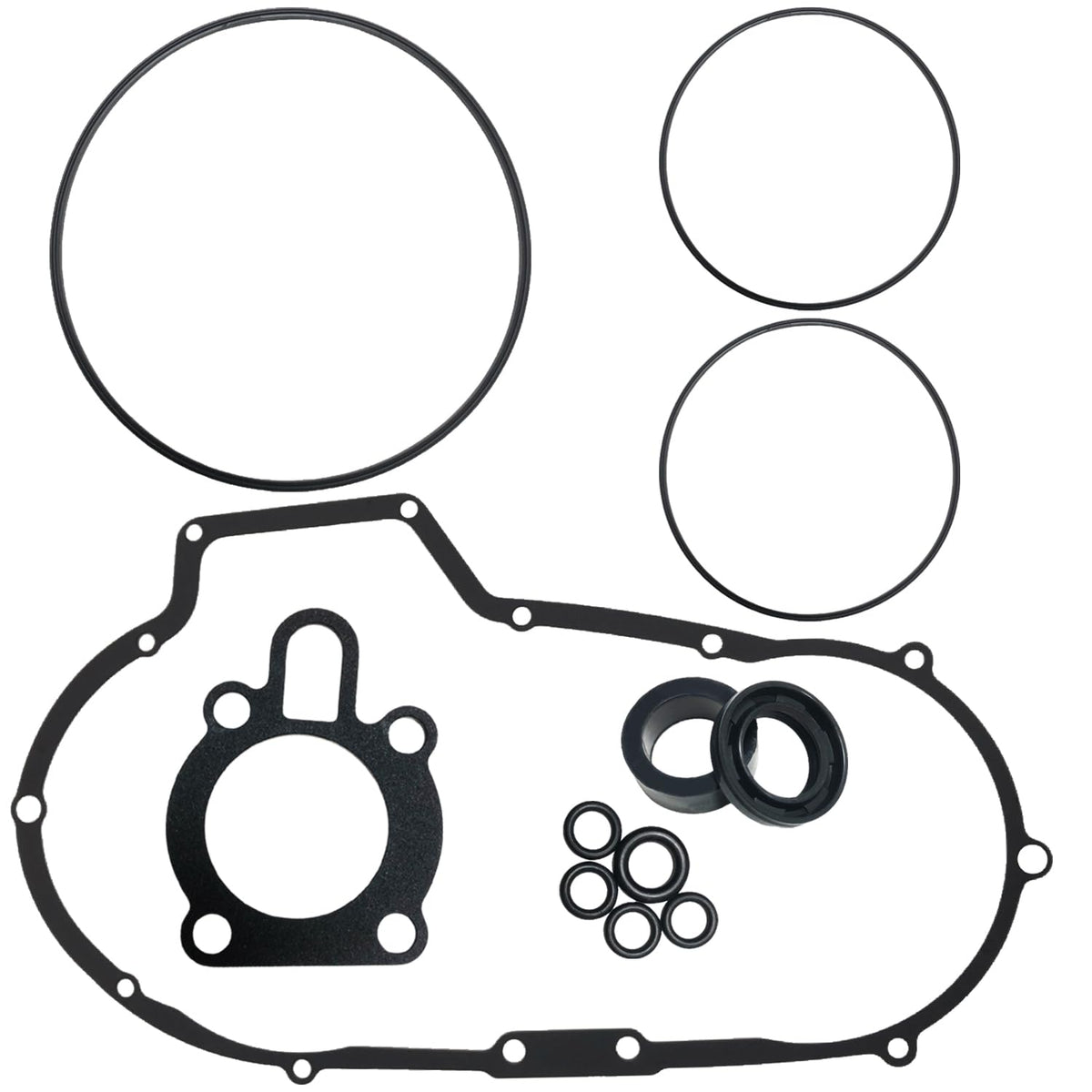 BIGLKNM seals and O-ring laid out to show included parts and leak prevention