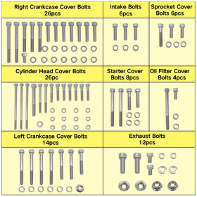 BIGLKNM polished bolt heads close-up showing corrosion-resistant finish and durability