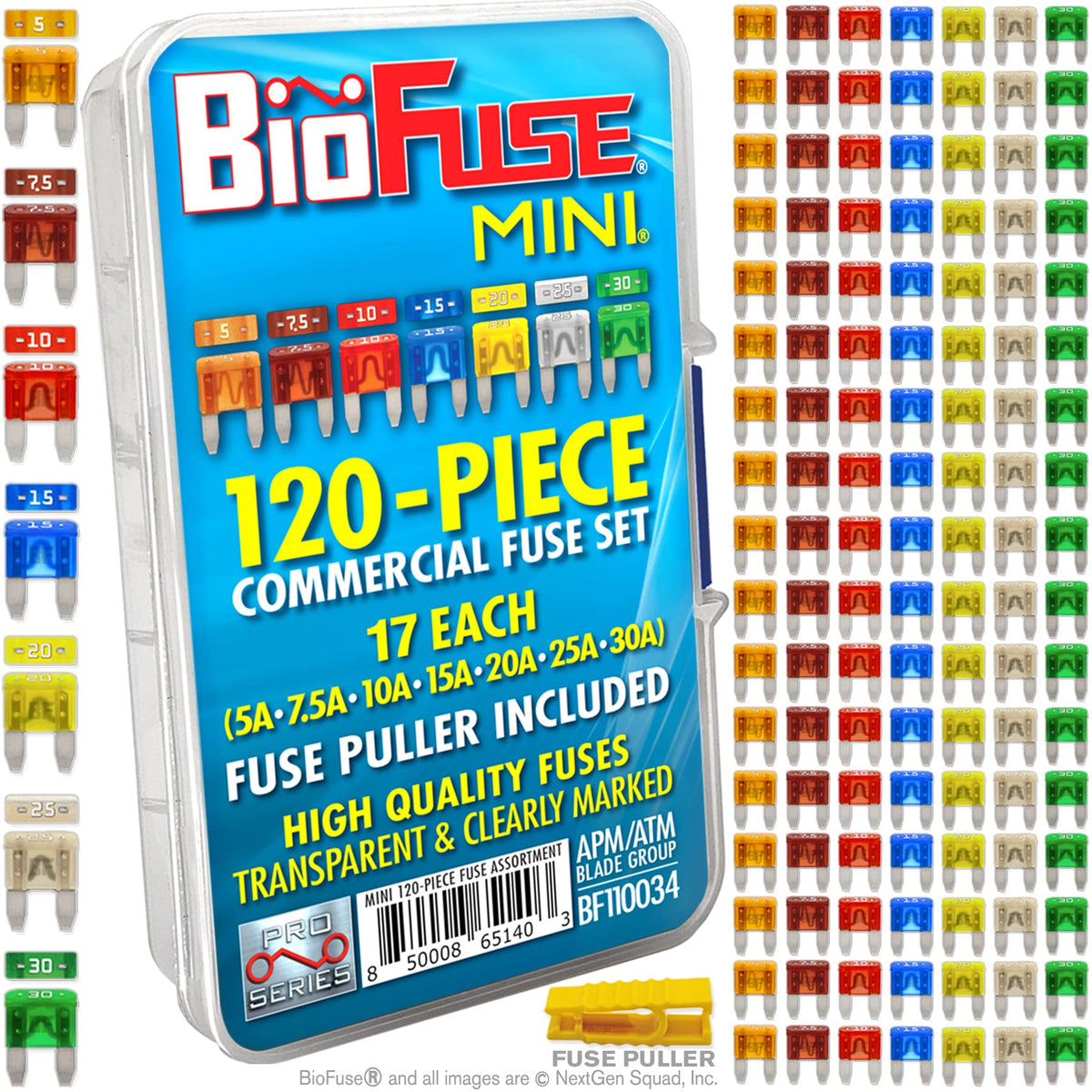 BIOFUSE front view of open case showing organized mini fuses for fast access