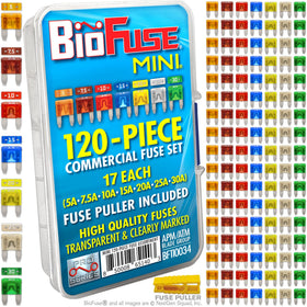 BIOFUSE front view of open case showing organized mini fuses for fast access