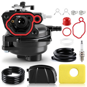 BioLion carburetor front view showing clean casting and ports for improved performance