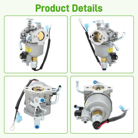 BioLion carburetor kit parts laid out to simplify replacement