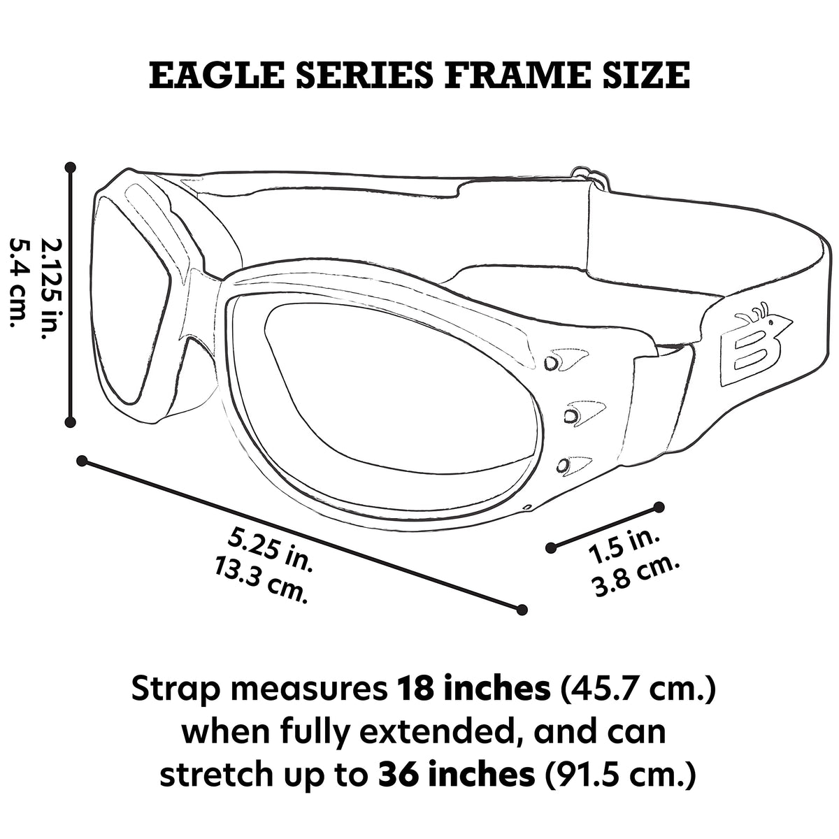 Birdz size comparison in hand showing compact, portable benefit