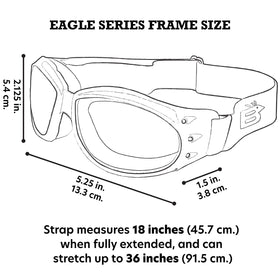 Birdz size comparison in hand showing compact, portable benefit