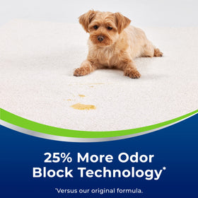 Bissell Woolite foam being applied to carpet stain demonstrating odor removal