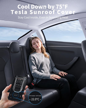 BJBT interior view showing diffused light and reduced glare benefit