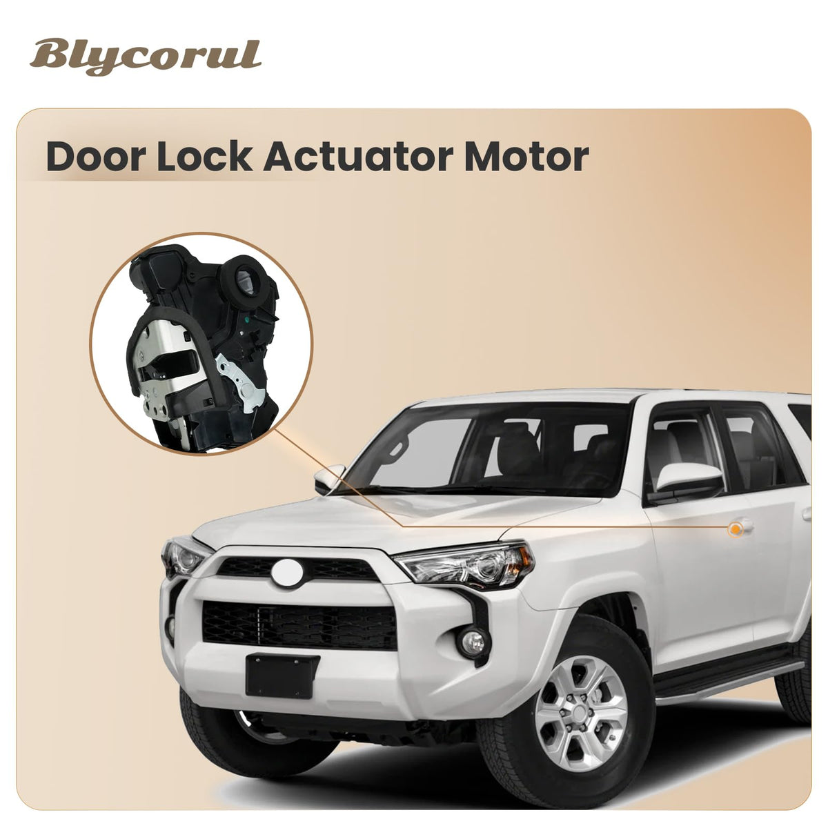 Blycorul actuator packaging and label showing part number and brand protection