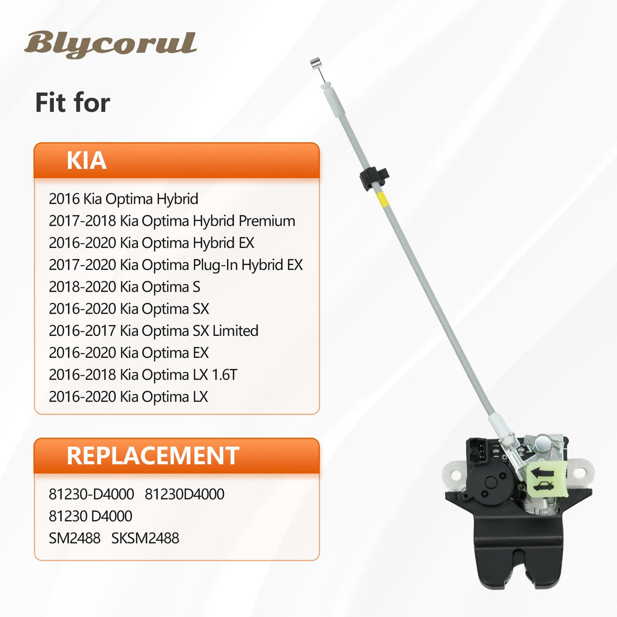 Blycorul closeup of electrical connector ensuring correct plug-fit and fast replacement