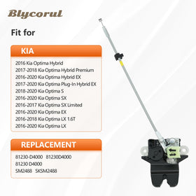 Blycorul closeup of electrical connector ensuring correct plug-fit and fast replacement