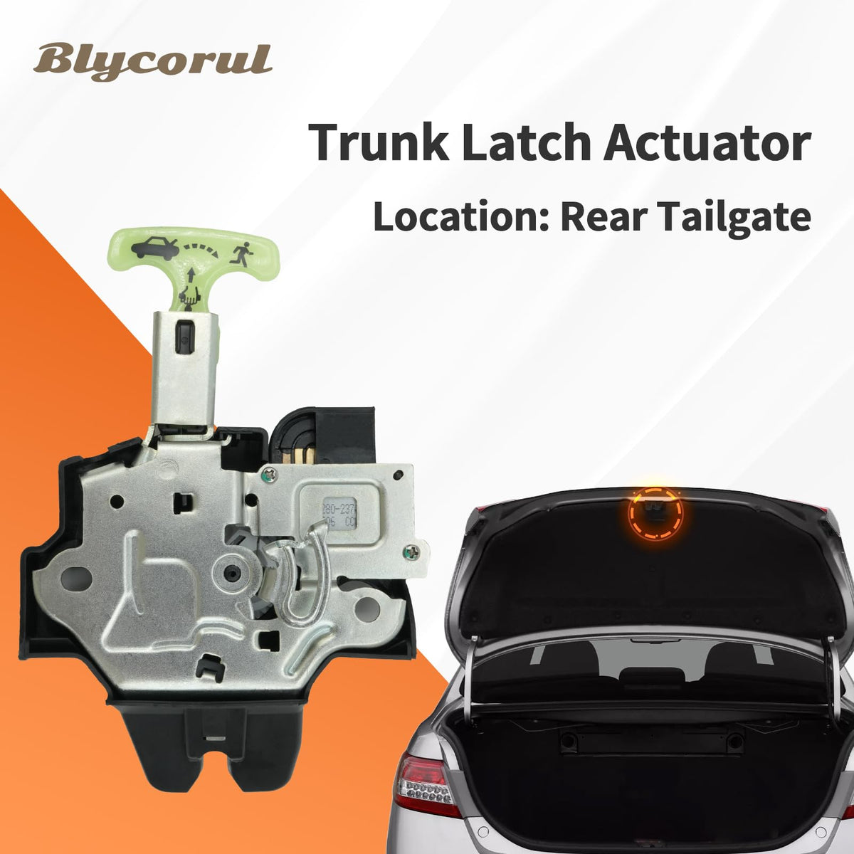 blycorul installed in Camry trunk demonstrating correct fitment