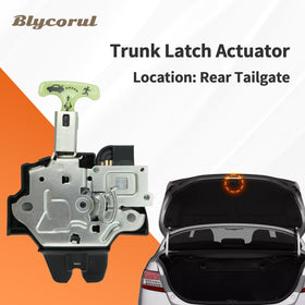 blycorul installed in Camry trunk demonstrating correct fitment