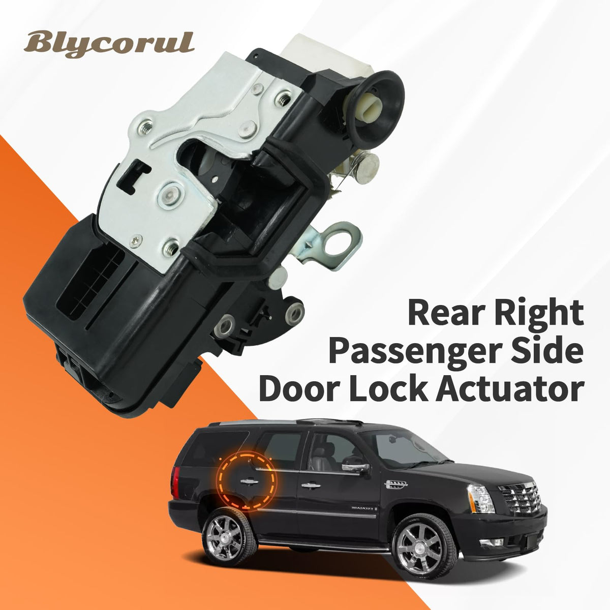 Blycorul mounting points detail illustrating correct bolt alignment and secure fit