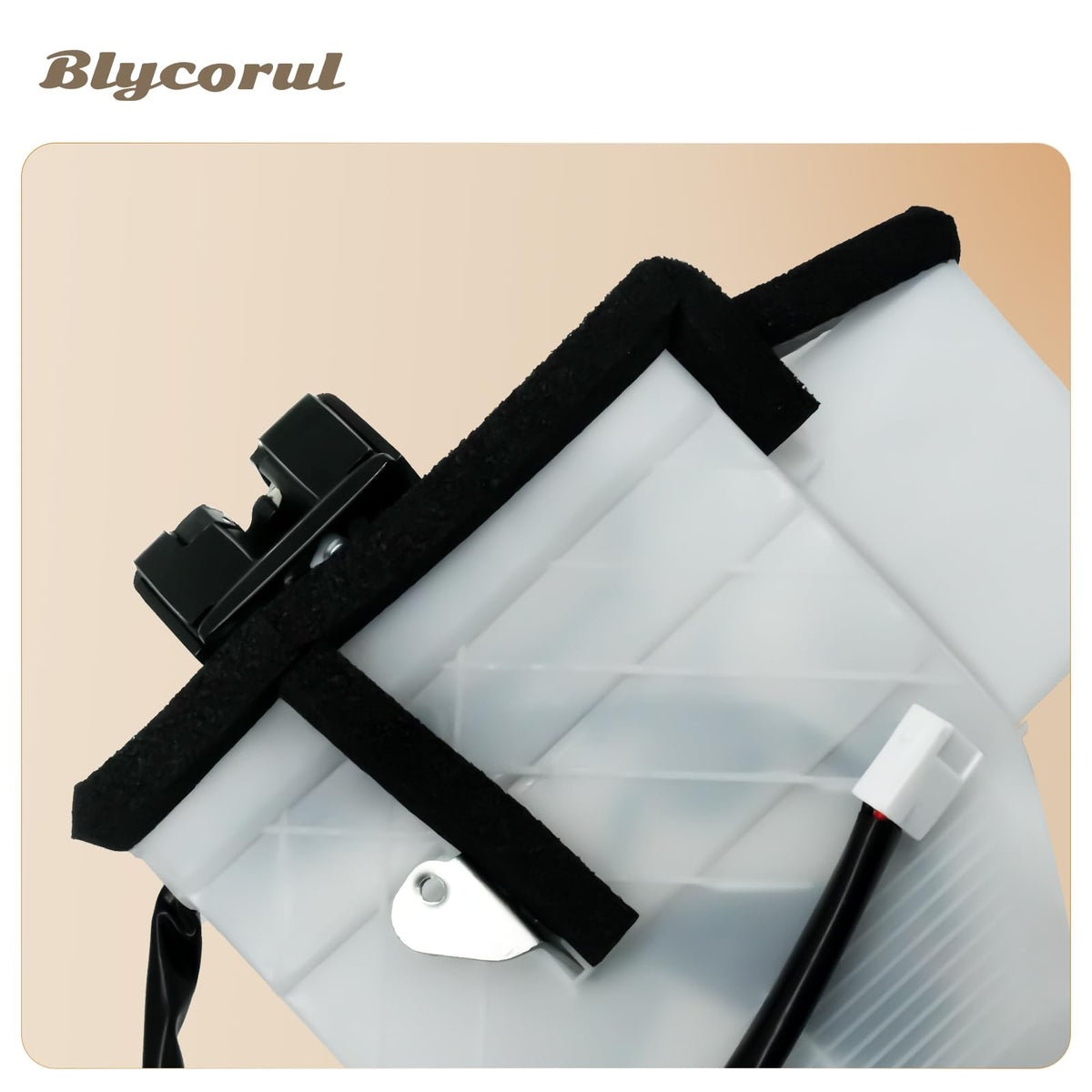 Blycorul product packaging with warranty card for buyer assurance