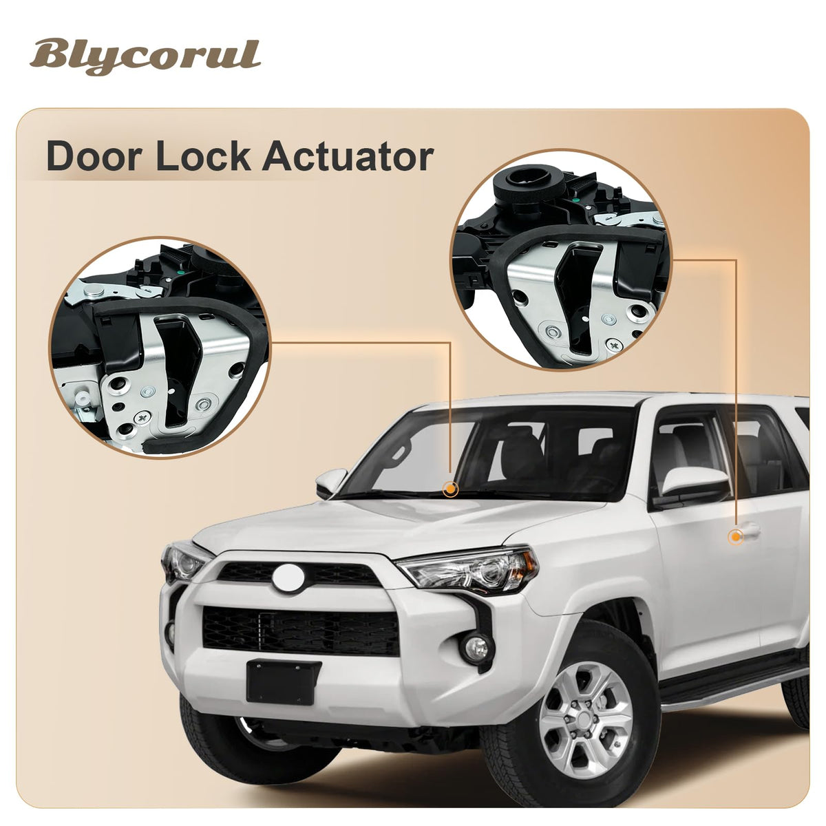 Blycorul actuator next to ruler showing compact size for correct fit