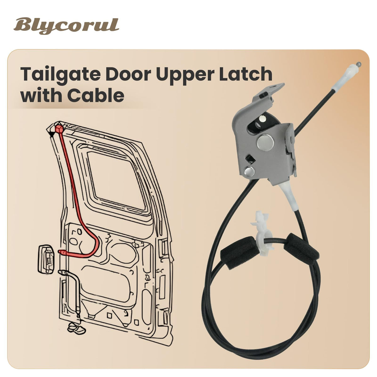 Blycorul next to ruler for size scale ensuring correct part fitment