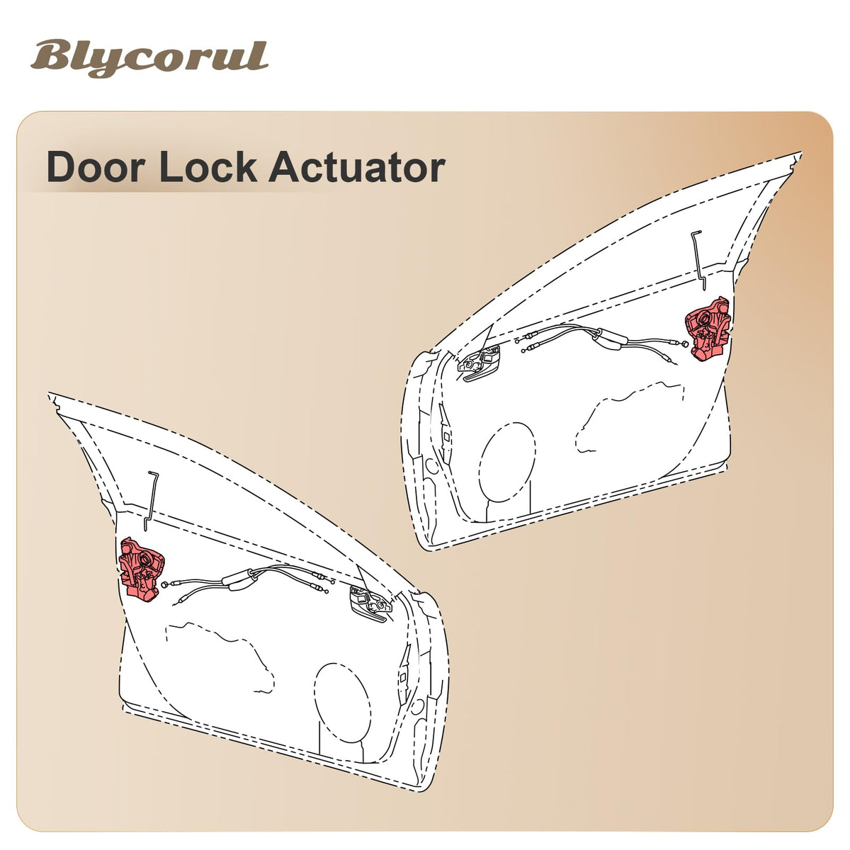 Blycorul wiring connector detail showing OEM-style plug for simple connection