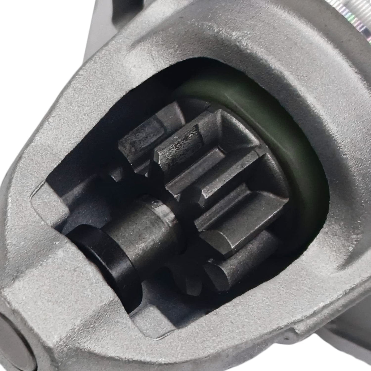 Boatrip starter mounting holes view demonstrating exact bolt-pattern match