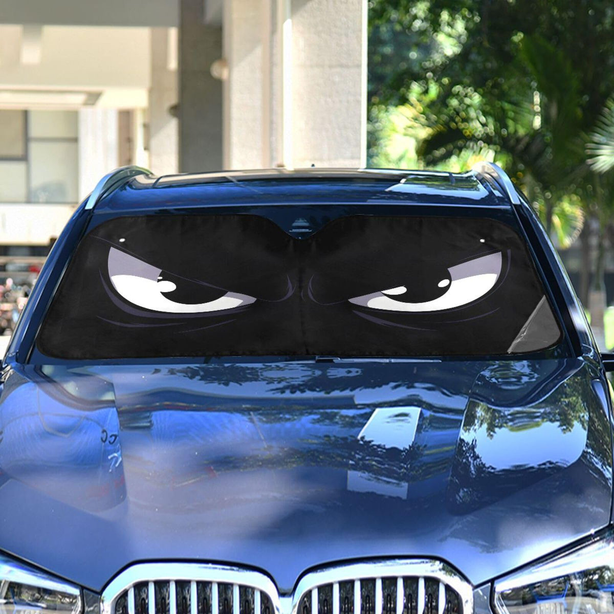 BOENLE beside a car showing scale and universal fit advantage