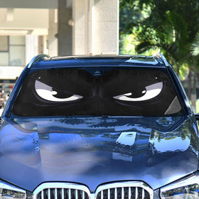 BOENLE beside a car showing scale and universal fit advantage
