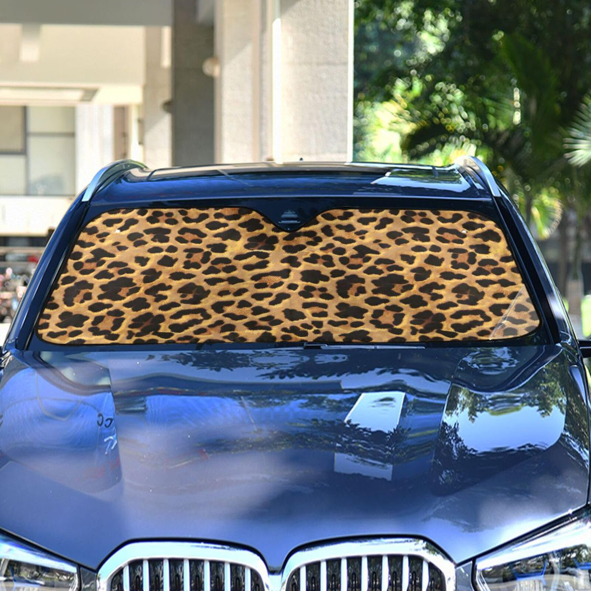 BOENLE suction cup close-up showing secure windshield attachment