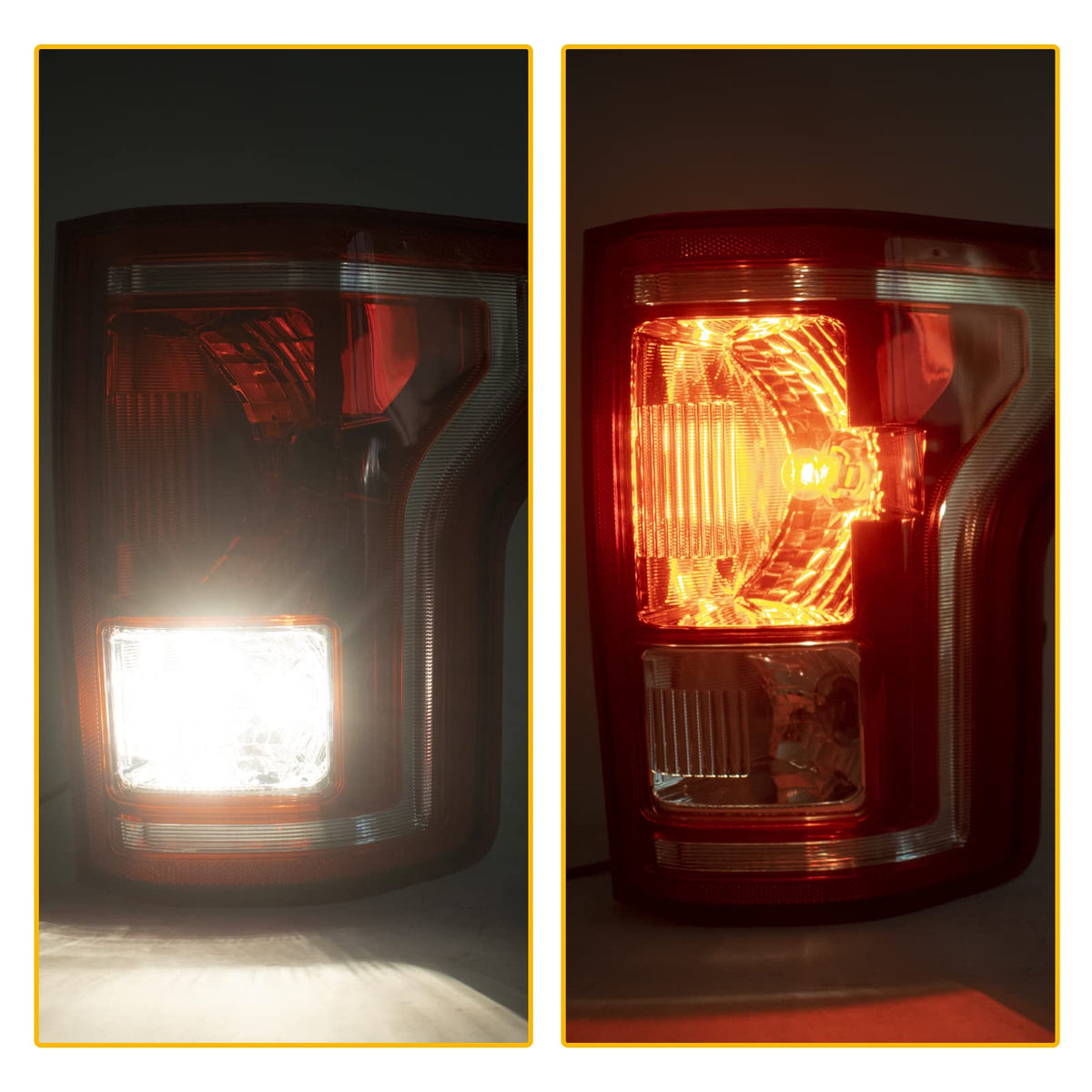 Boine tail light with ruler for size comparison ensuring accurate replacement