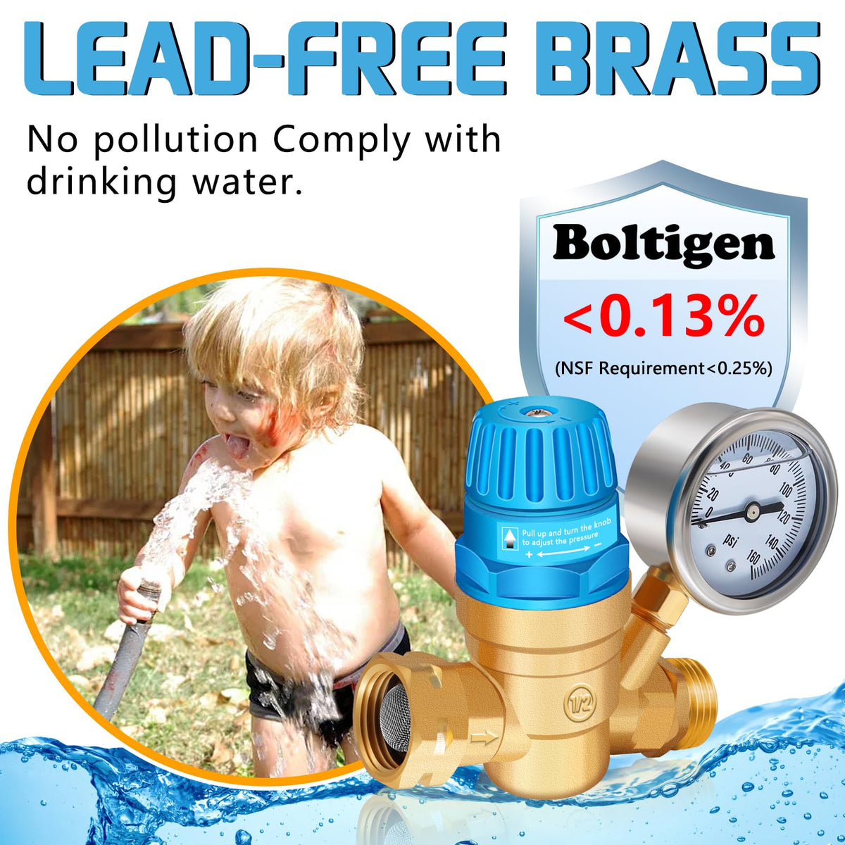 Boltigen pressure regulator closeup showing adjustable handle protection