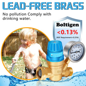 Boltigen pressure regulator closeup showing adjustable handle protection