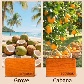 Botanikind next to sunglasses to show compact size and portability