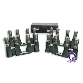 BTR Delphi lifters close-up of roller tip showing durable finish and smooth contact