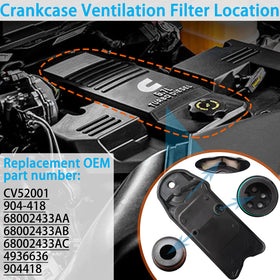 BZANPAR filter beside ruler showing exact dimensions for OE-spec replacement fit