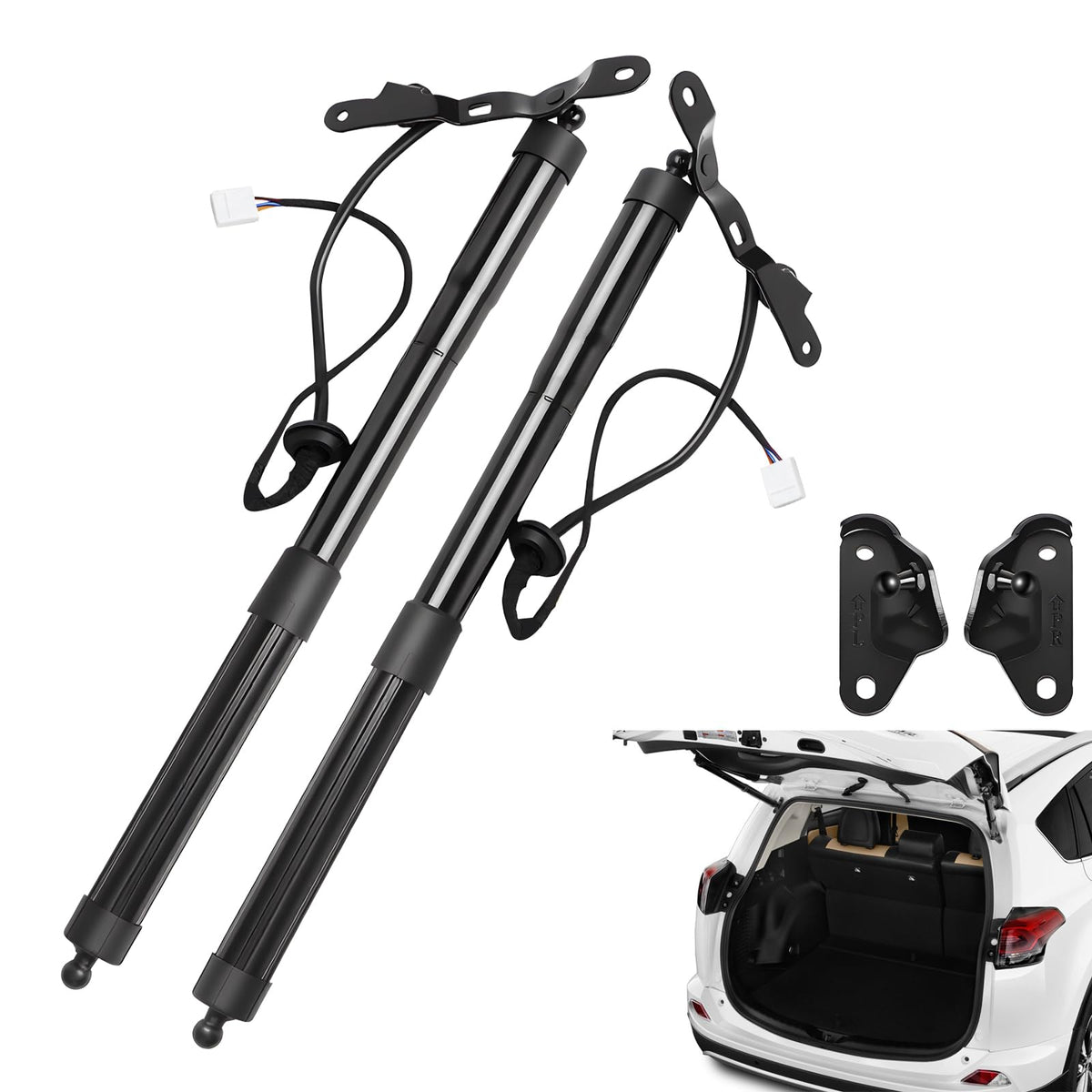 B.ZSSY front view of liftgate struts showing parts and packaging, quick identification benefit