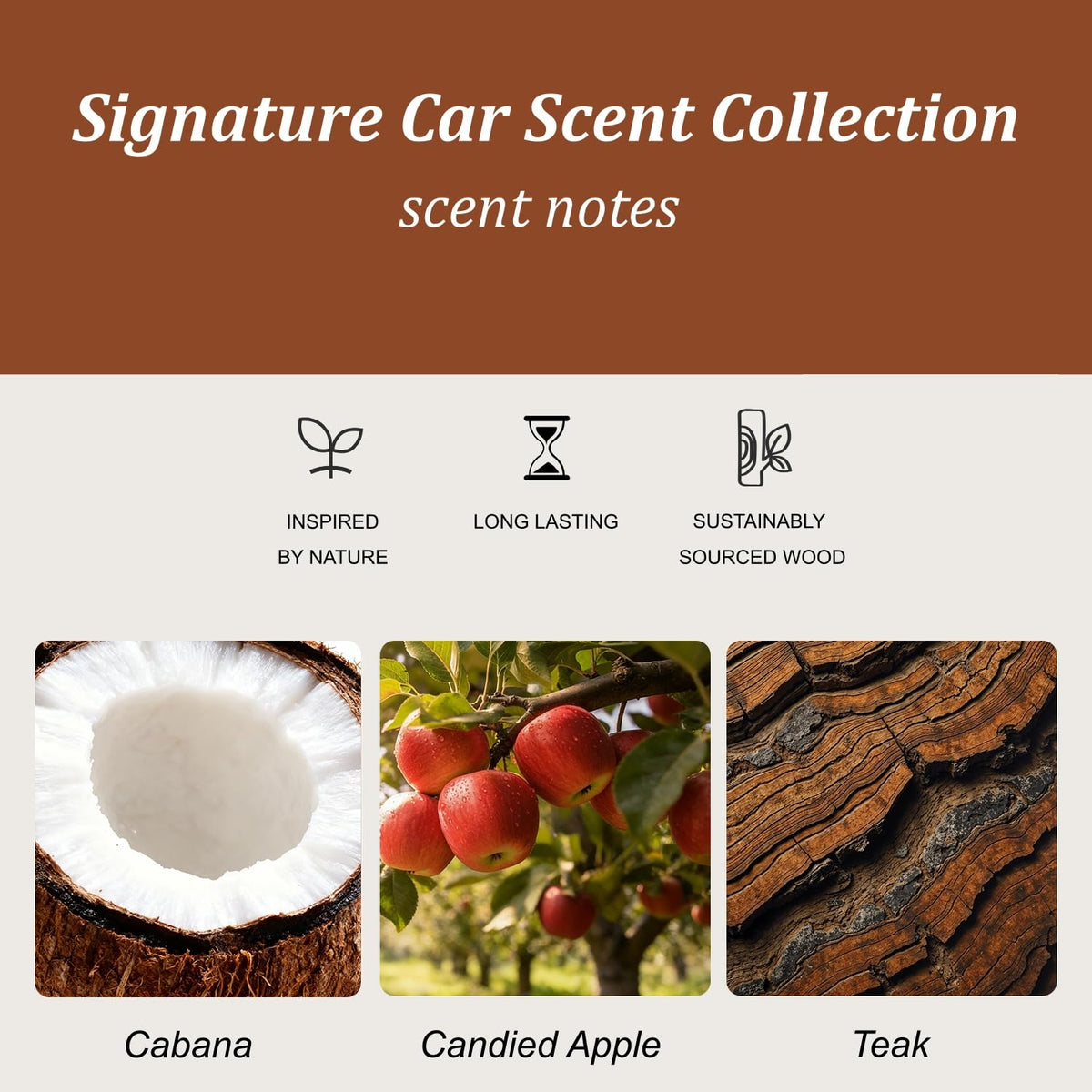 Cacanry stone close-up texture highlighting oil-infused surface for steady fragrance release
