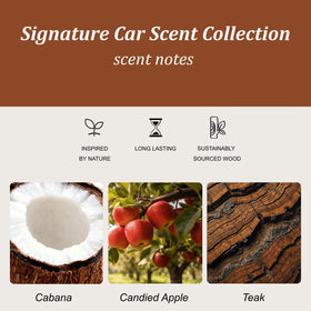Cacanry stone close-up texture highlighting oil-infused surface for steady fragrance release