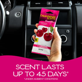 California Scents pad close-up revealing biodegradable fiber and steady-release benefit