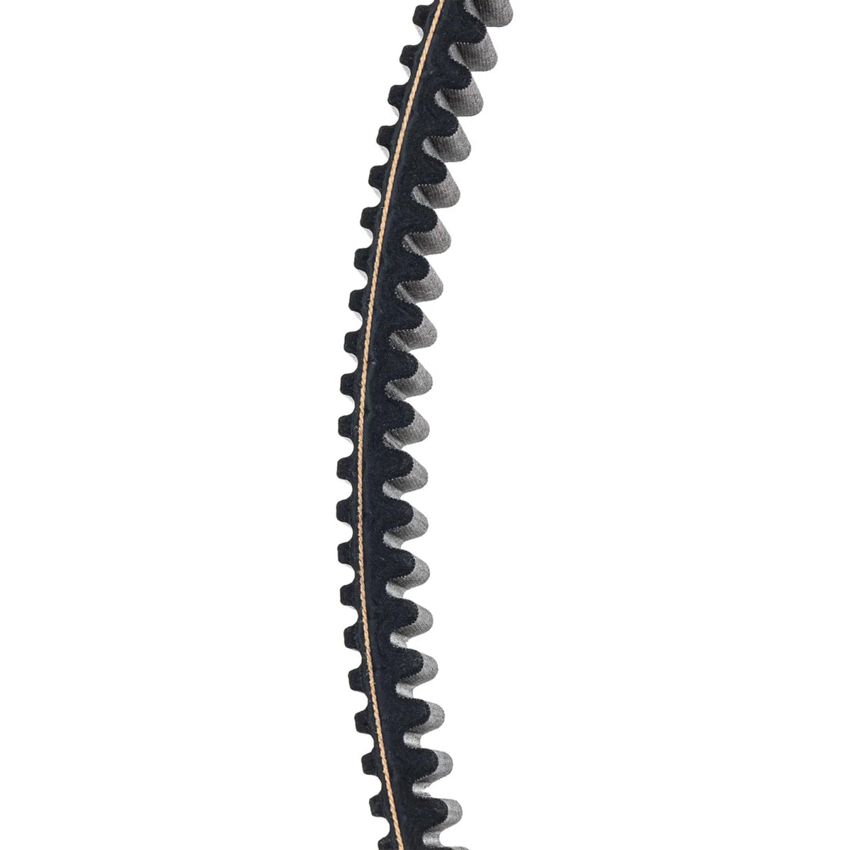 Can-Am drive belt next to ruler showing accurate OEM dimensions and scale