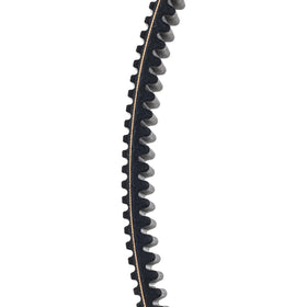 Can-Am drive belt next to ruler showing accurate OEM dimensions and scale