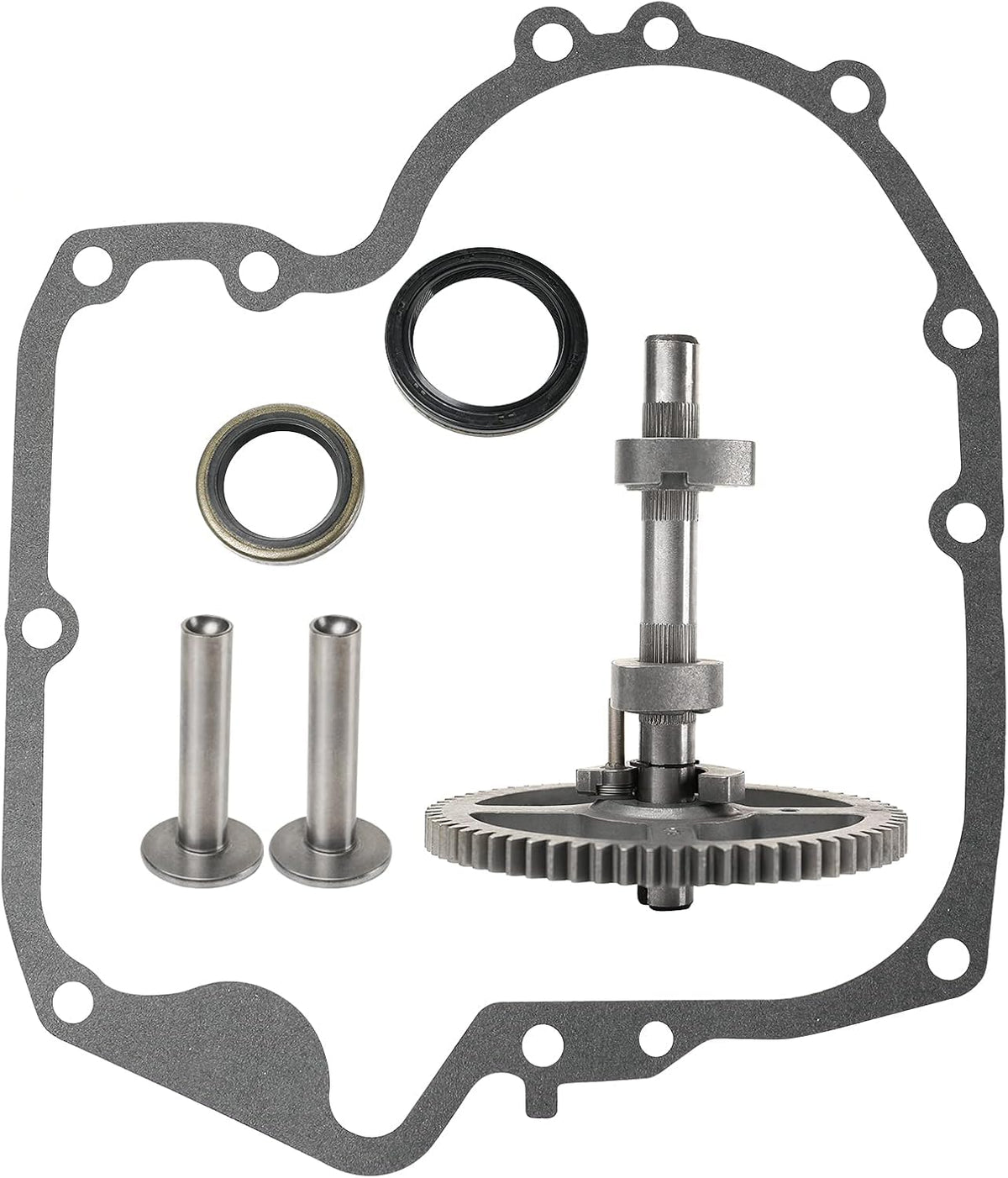 CANZILLA camshaft installed in engine bay improving valve timing reliability