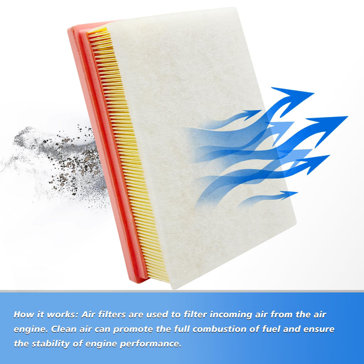 Capume filters alongside ruler to show accurate scale and fit confirmation